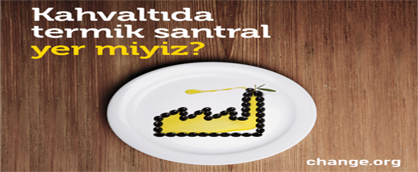 Türkiye`nin zeytinliklerinin ölüm fermanına hayır!
