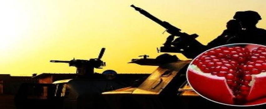 Meyve Ticaretine Başlayan IŞİD, Zehirli Nar mı Satıyor