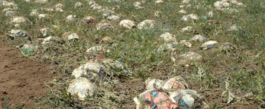 Su Taşkını 70 Ton Karpuzu Tarlada Vurdu