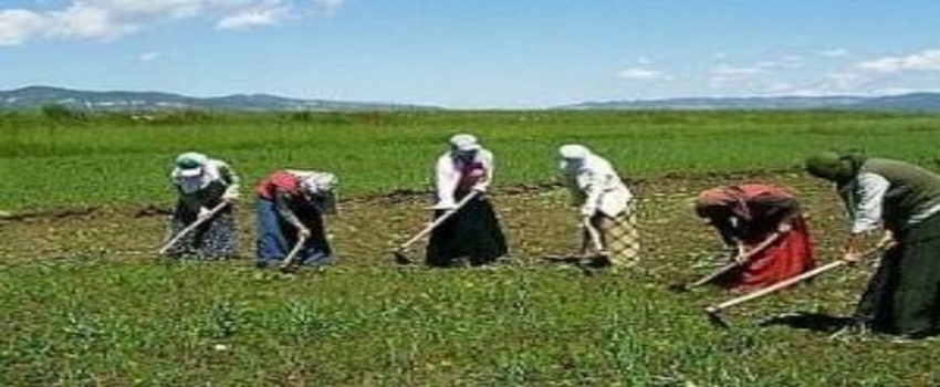 Mevsimlik Tarım İşçilerine Yönelik TBMM Kararı Resmi Gazete`de