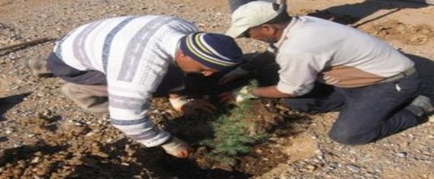 Karaköprü`de 6 Ayda 15 Bin Ağaç Dikildi