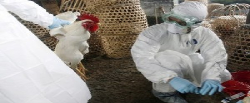 Tunceli`de Kuş Gribi Bilgilendirme Toplantısı