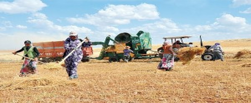 Tarımda Kayıt Dışı İstihdamla Mücadele Semineri Gerçekleştirilecek