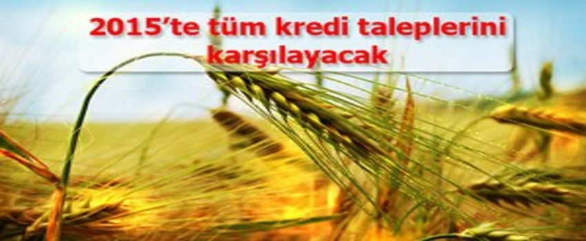 2015`te tüm kredi taleplerini karşılayacak