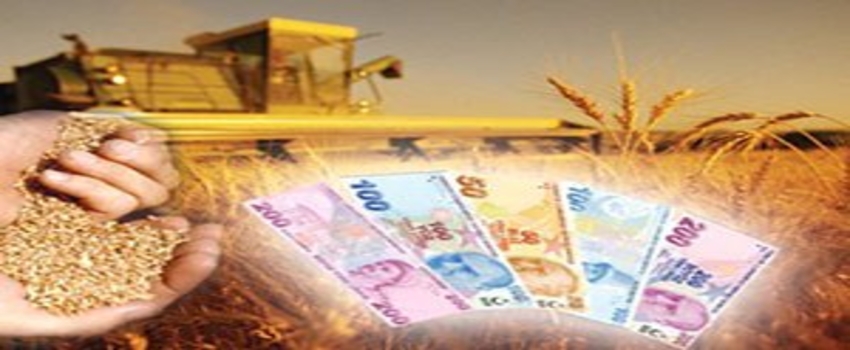 Organik Tarım Desteklemesinde Başvurular 27 Mart`a Kadar Sürecek