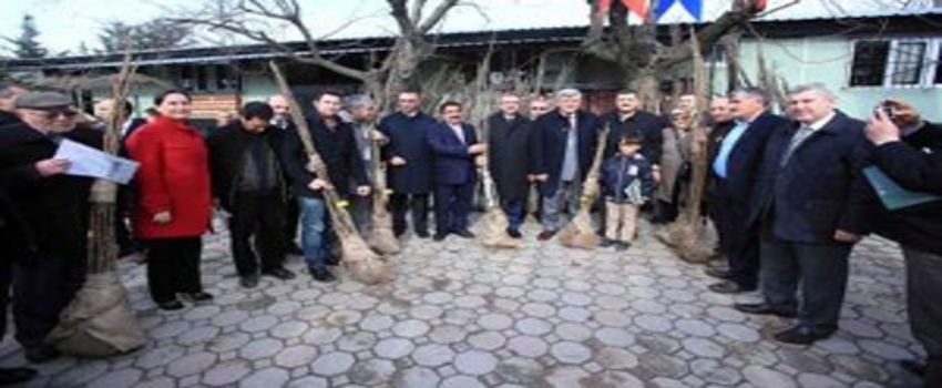 Büyükşehirden 3 Bin 258 Dekar Araziye Meyve Fidanı