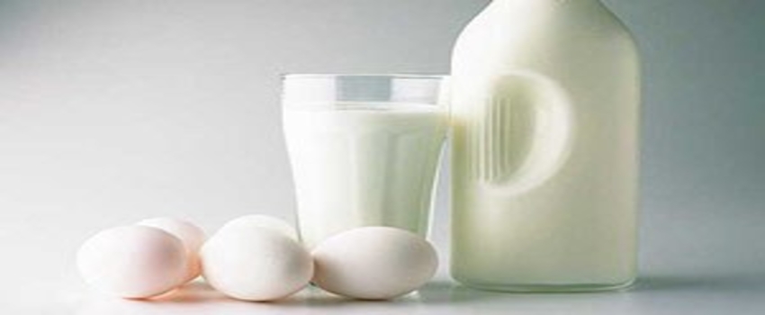 Süt ve kanatlıda büyüme Kasım`da da sürdü