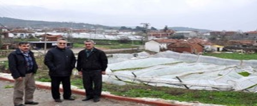 Kar Yağışının Çiftçilere Verdiği Zarar Belli Oldu