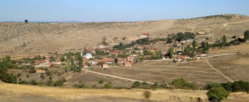379 köyde kanser alarmı