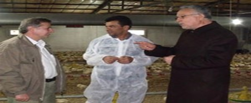 Tavuk Üretim Çiftliklerine Denetim