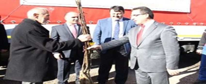 Kastamonu`da 18 Bin Ceviz Fidanı Dağıtıldı