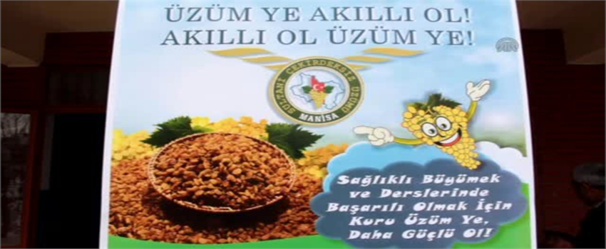 Okul Üzümü Akıl Üzümü` Projesi