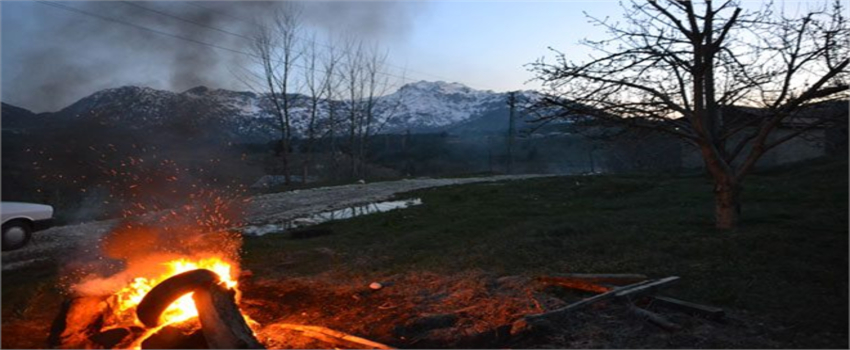 İhracata giden kiraz `duman`la korunuyor
