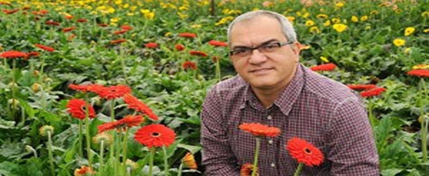 `Çiçek`ten cari açık 100 milyon $`a gidiyor