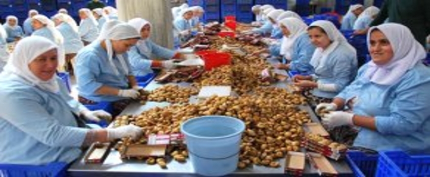 İncir Üreticiden 5 Liraya Çıkıyor, Markette 32 Liraya Satılıyor