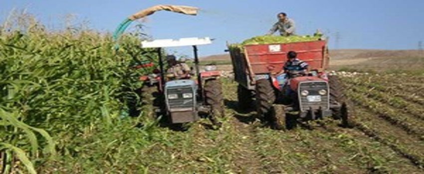 Kırsal kalkınma için 1.2 milyar liralık destek