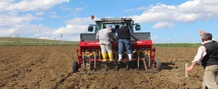 Yozgat`ta Deneme Nohut Ekimi Yapıldı