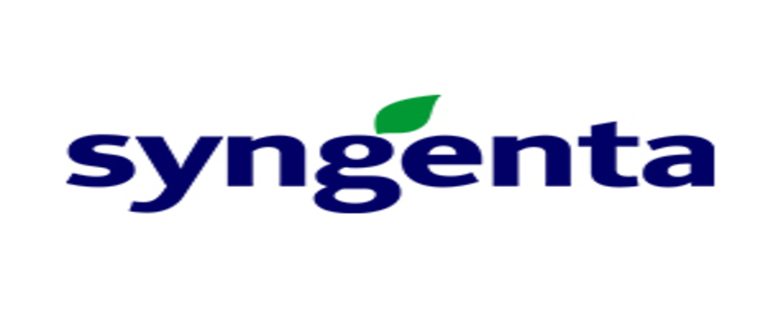 Syngenta Türkiye Pamukta Çift Etkili Yeni İnsektisini Tanıttı