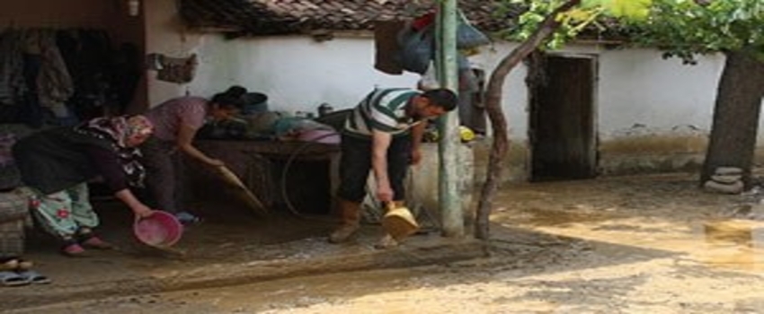 Alaşehir`de Dolu Bağları Vurdu