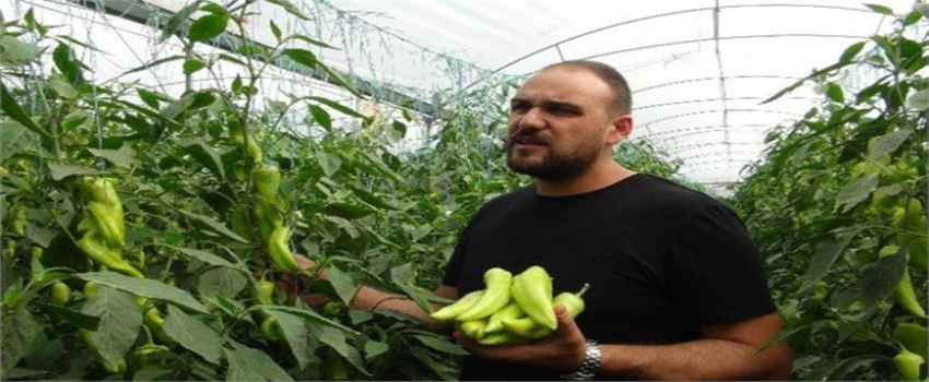 Mersinli Biber Üreticilerine Hayat Veren Proje
