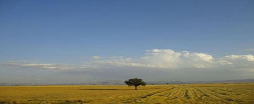 Konya Ovası suya doyacak