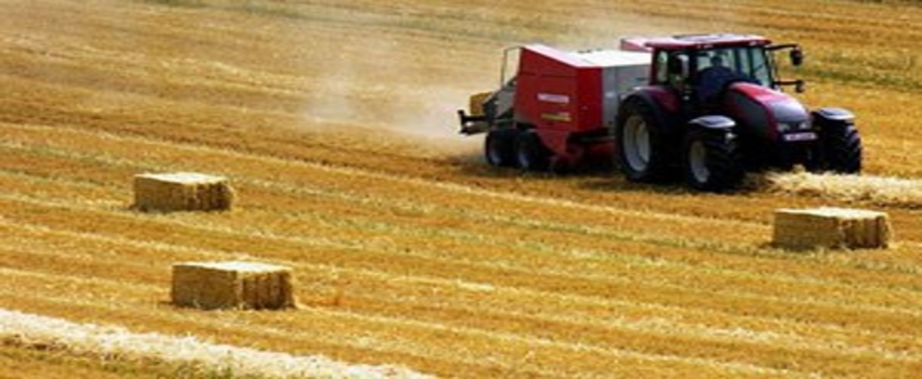 Tarıma Dayalı Ekonomik Yatırımların Desteklenmesi