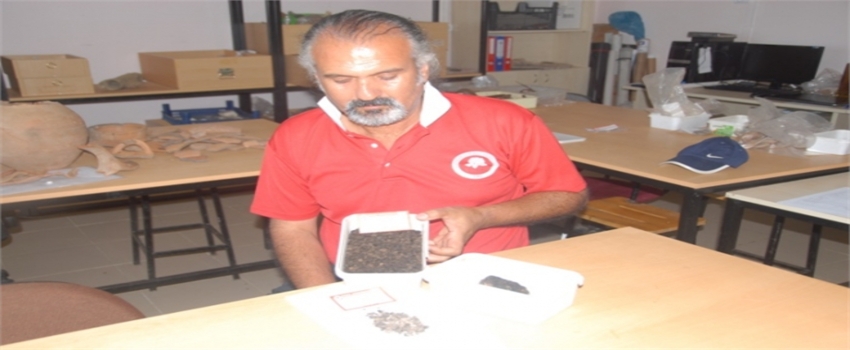 1300 Yıllık Tahıl Bulundu