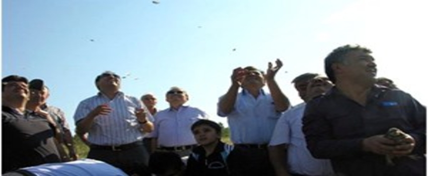 Hayrabolu`da Doğaya 400 Kınalı Keklik Salındı