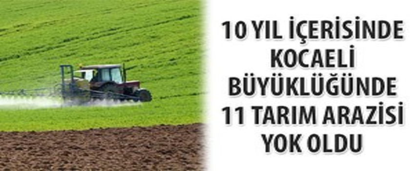 Kocaeli büyüklüğünde 11 tarım arazisi yok oldu