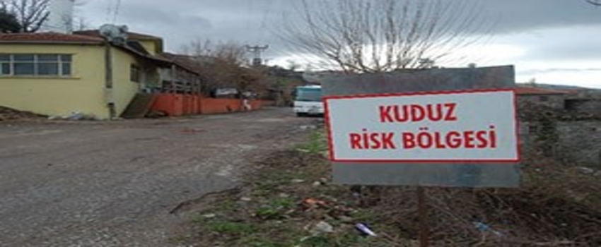 Kuduz Karantinası Sona Erdi
