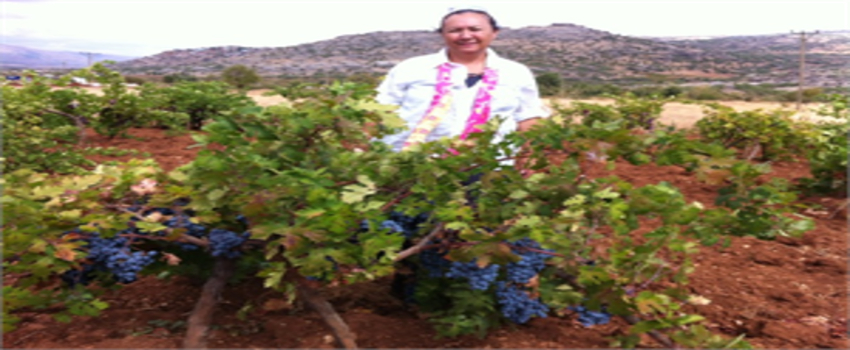 Meyve Mirası Projesi Tarım Başarı Ödülü Kazandı