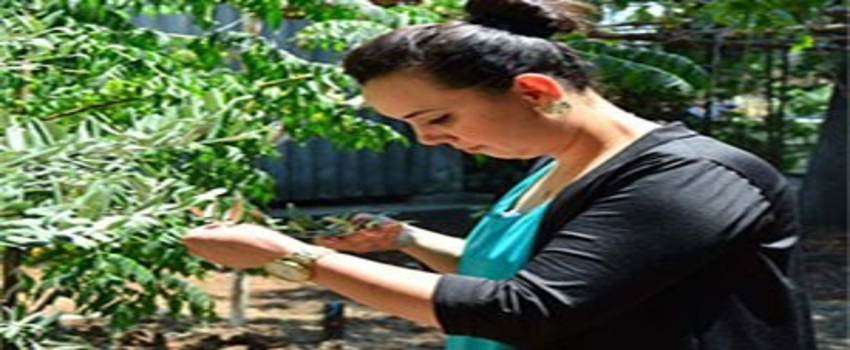 Tarım Danışmanları Çiftçinin Hizmetinde