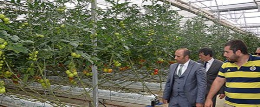 Afyon`da 3 bin çiftçinin borç ödemesi ertelendi