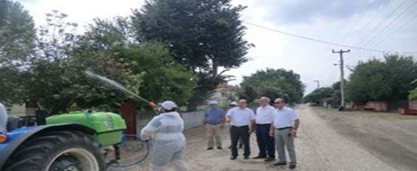 Amerikan Beyaz Kelebeği ile Mücadele Sürüyor