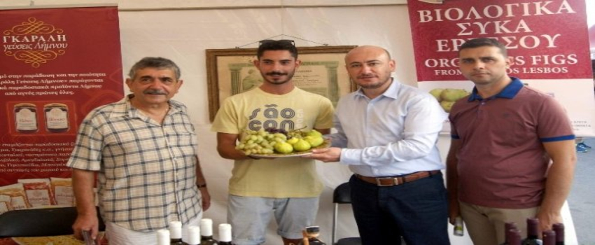 Ayto Yunan Pazarında