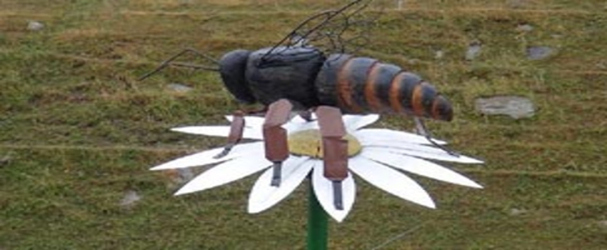 5 Kilo Bal Verdi