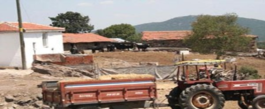 Edirne`de `Şarbon` Karantinası