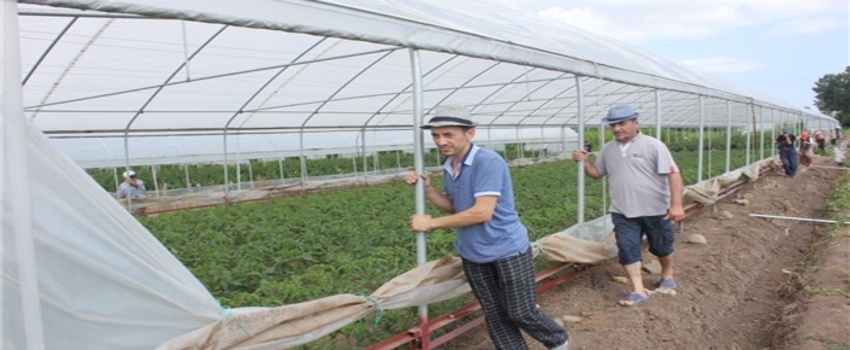 Üç Dakikada Sera Kuruluyor