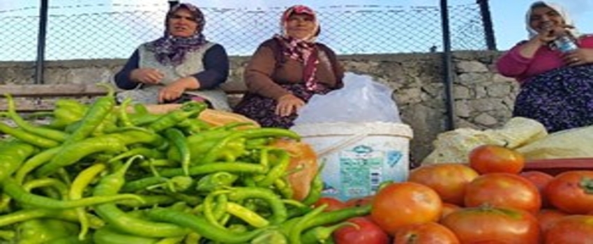 Helvadere`nin Kadınları Aile Bütçelerine Katkı Sağlıyor