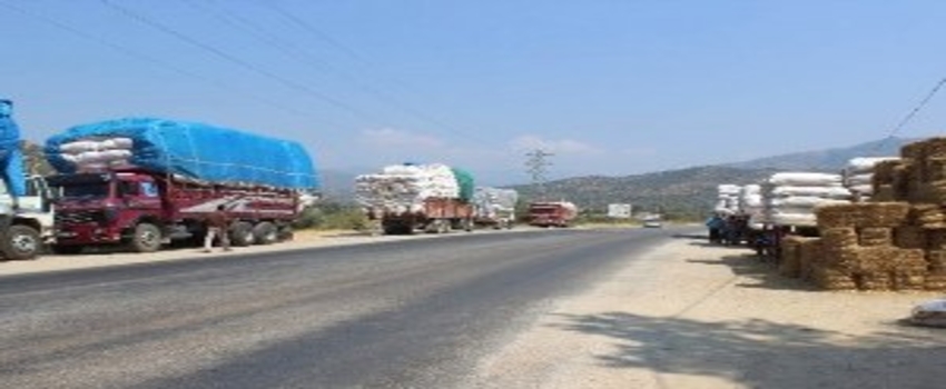 Samancıların Izdırabı Yazılacak Gibi Değil