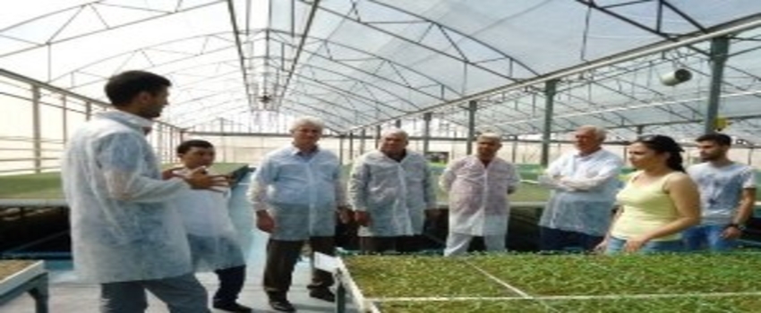 Tika Desteğiyle Türkmenistanlı Heyete Seracılık Eğitimi