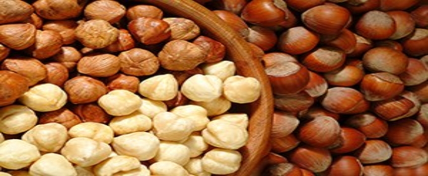 Borsa, Çiftçileri Afişlerle Uyarıyor