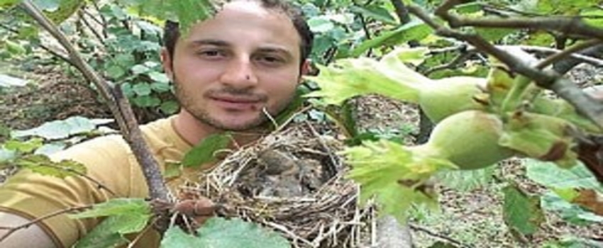 Fındık Ağacına Kuşlar Yuva Yapınca Hasat Yapmadı