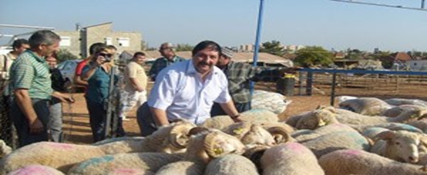 Kurbana Eziyet Edenlere Para Cezası