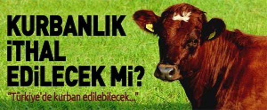 Kurbanlık İthal Edilecek mi?