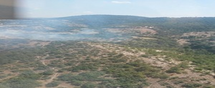 Muğla`da Tarım Arazisinde Yangın