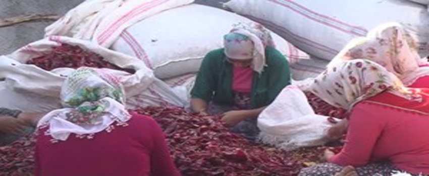 700 Liralık Mikrokredi Yaşamını Değiştirdi, Şimdi Para Dağıtıyor