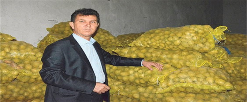 Patates`te Depolama Kaybı Çok Fazla