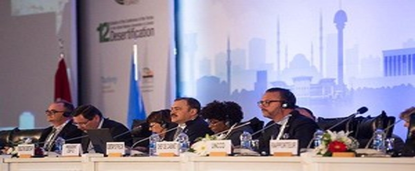 Dünyamız Her Yıl 10 Milyon Hektar Tarım Alanı Kaybediyor