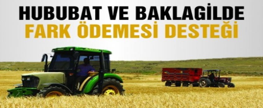Hububat ve Baklagil Fark Ödemesi Desteği Başvuruları Başladı